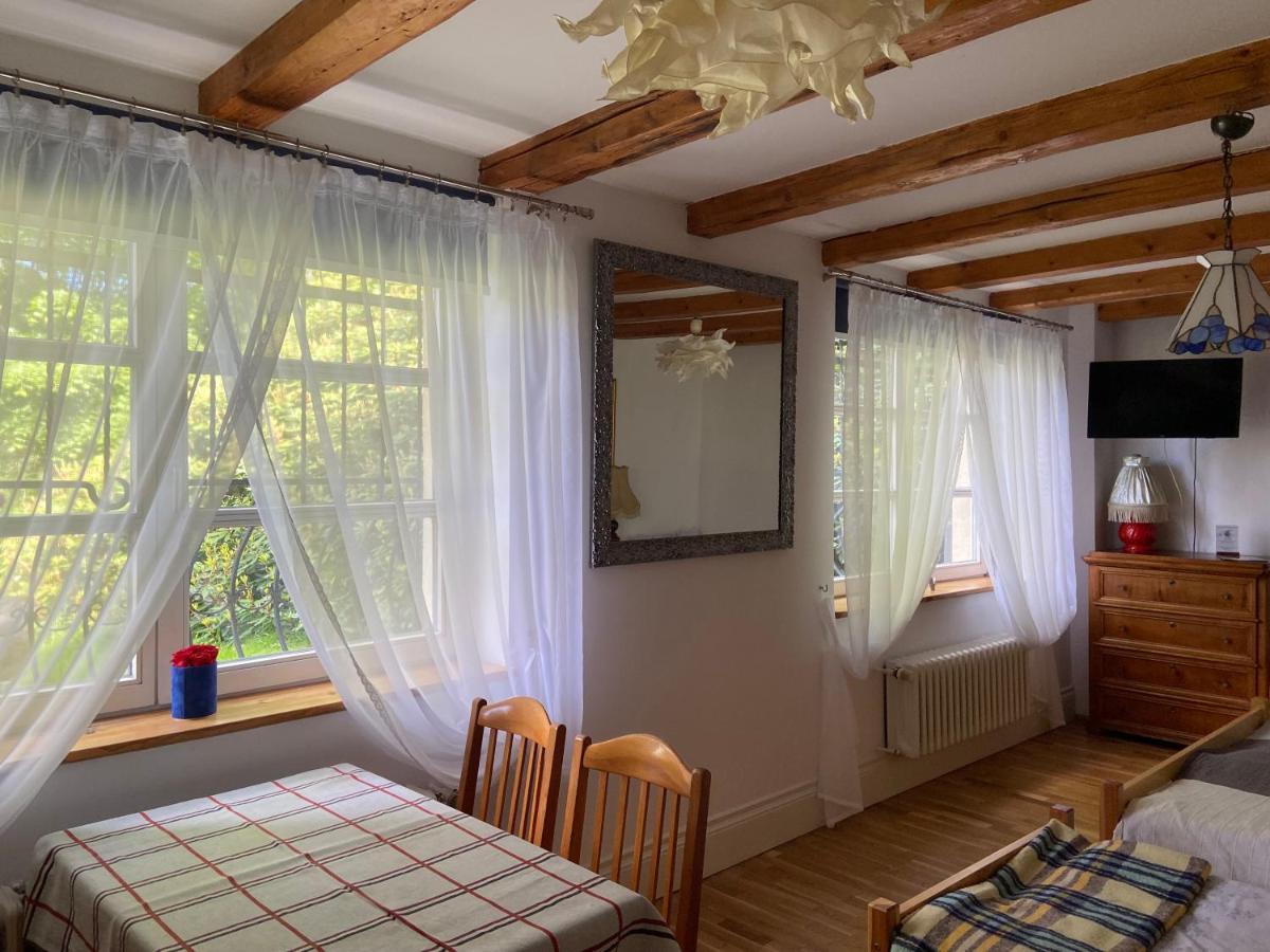 Villa Parkowa 5 Świeradów-Zdrój Εξωτερικό φωτογραφία
