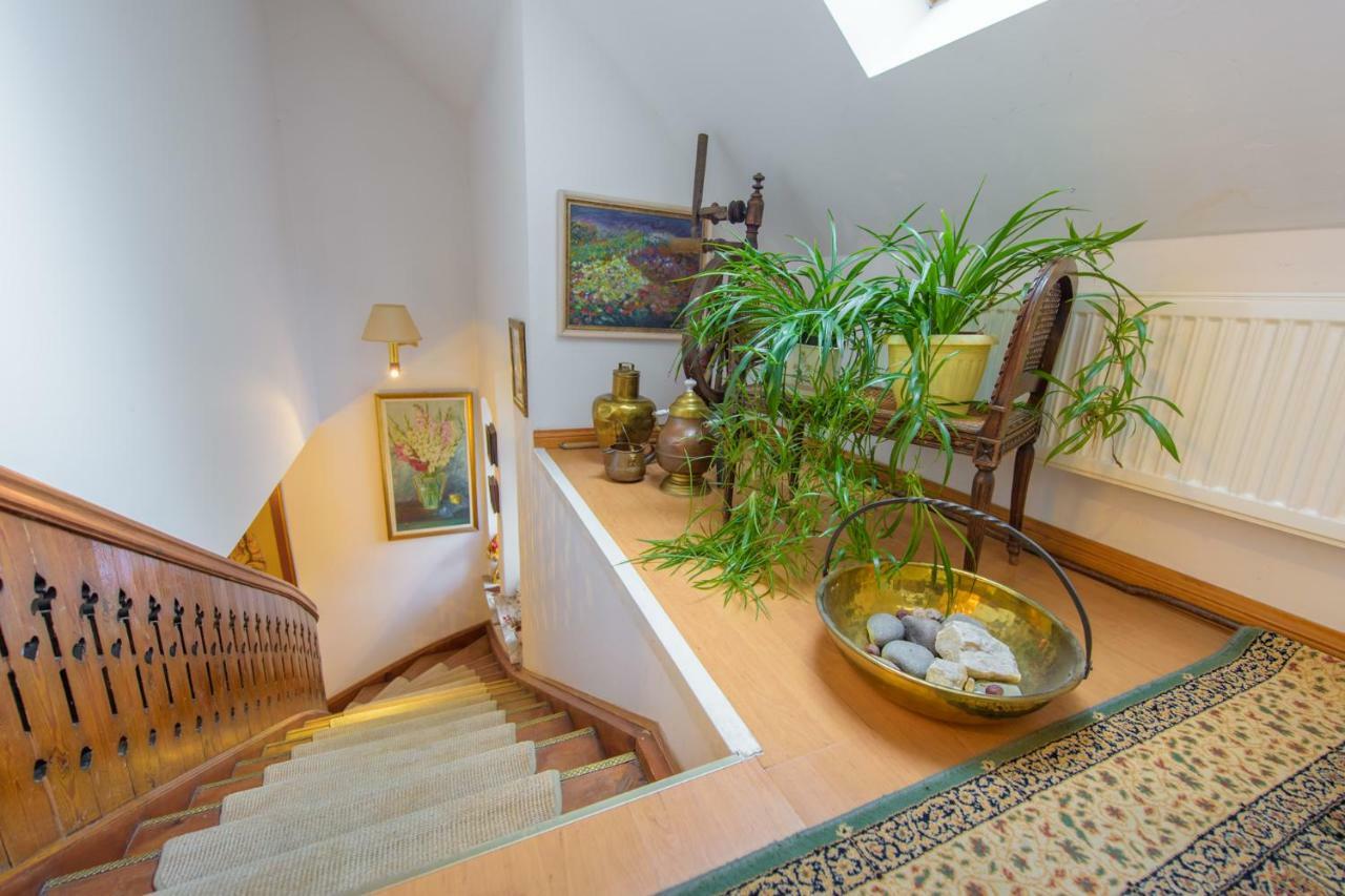 Villa Parkowa 5 Świeradów-Zdrój Εξωτερικό φωτογραφία